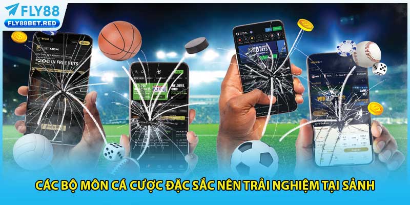 Các bộ môn cá cược đặc sắc nên trải nghiệm tại sảnh