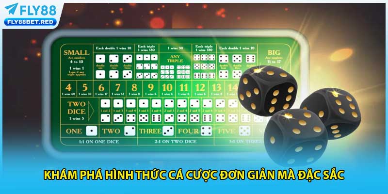 Khám phá hình thức cá cược đơn giản mà đặc sắc