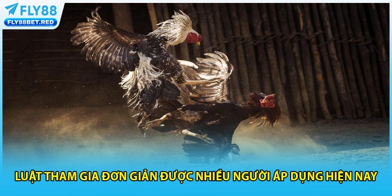 Luật tham gia đơn giản được nhiều người áp dụng hiện nay