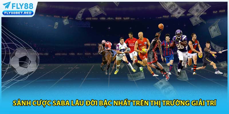 Sảnh cược Saba lâu đời bậc nhất trên thị trường giải trí