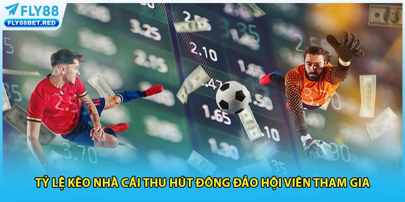 Tỷ lệ kèo nhà cái thu hút đông đảo hội viên tham gia